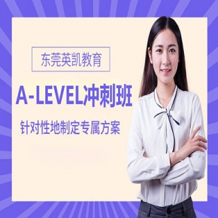 A-level冲刺班